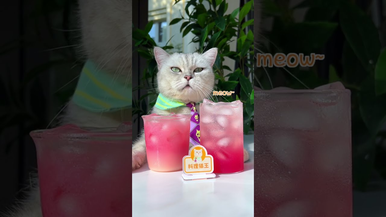 😉The Best Way To Make Pomegranate Juice! | Chef Cat Cooking #tiktok #Shorts