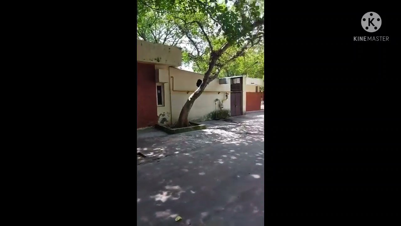 MY POST OFFICE VIEW(IIT KANPUR) POSTAL ASSISTANT CHSL 2017 #sscchsl#iitkanpur#postalassistant#shorts