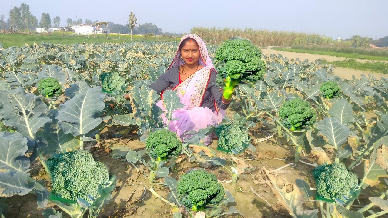 क्या आपने कभी फायदेमंद ब्रोकली कि ऐसी रेसिपी बना के खाया है | Broccoli 🥦 ki Faydemand sabji