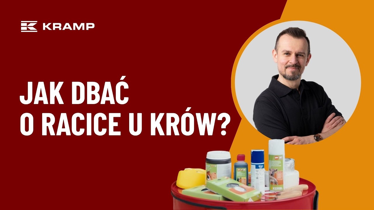 Profilaktyka i korekcja racic u krów - jak dbać o zdrowie stada? | KRAMP