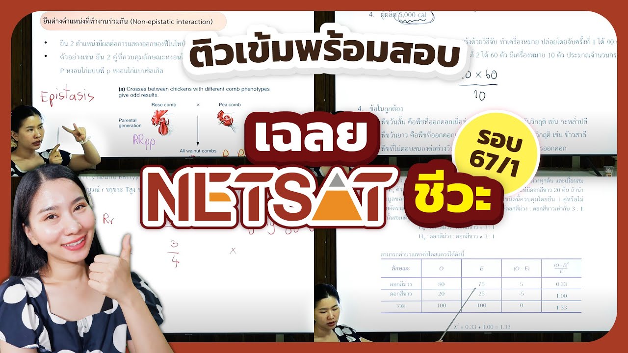 เฉลยข้อสอบจริง netsat ชีวะ ปี 67 ครั้งที่ 1
