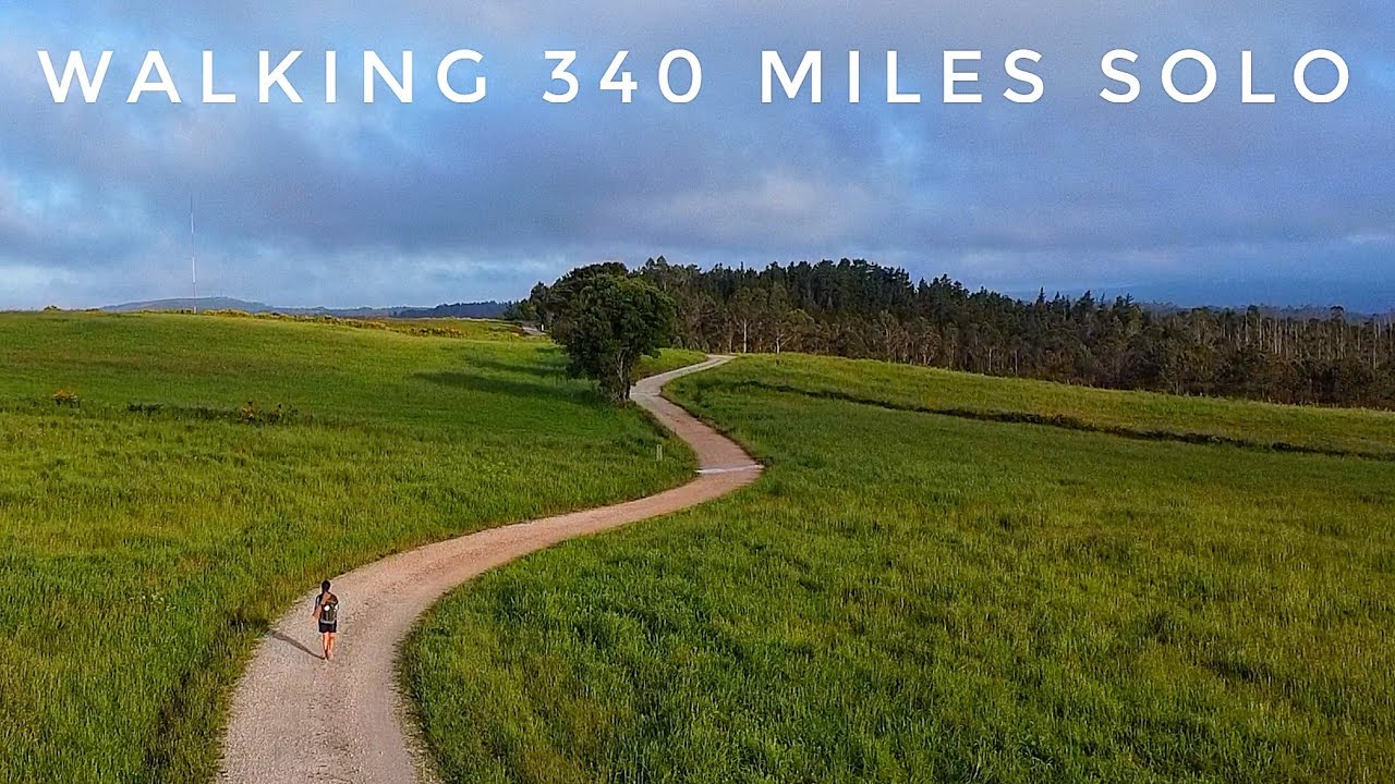 Camino de Santiago Changed My Life