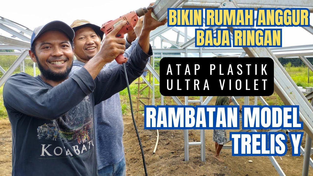 Cara Membuat Naungan Anggur Baja Ringan, Sistem Trelis Y