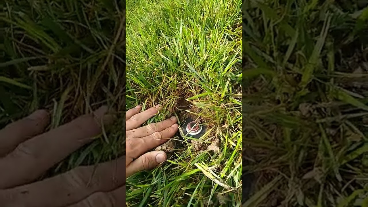 CRITICAL SOD LAYING TIP! MUST DO THIS!