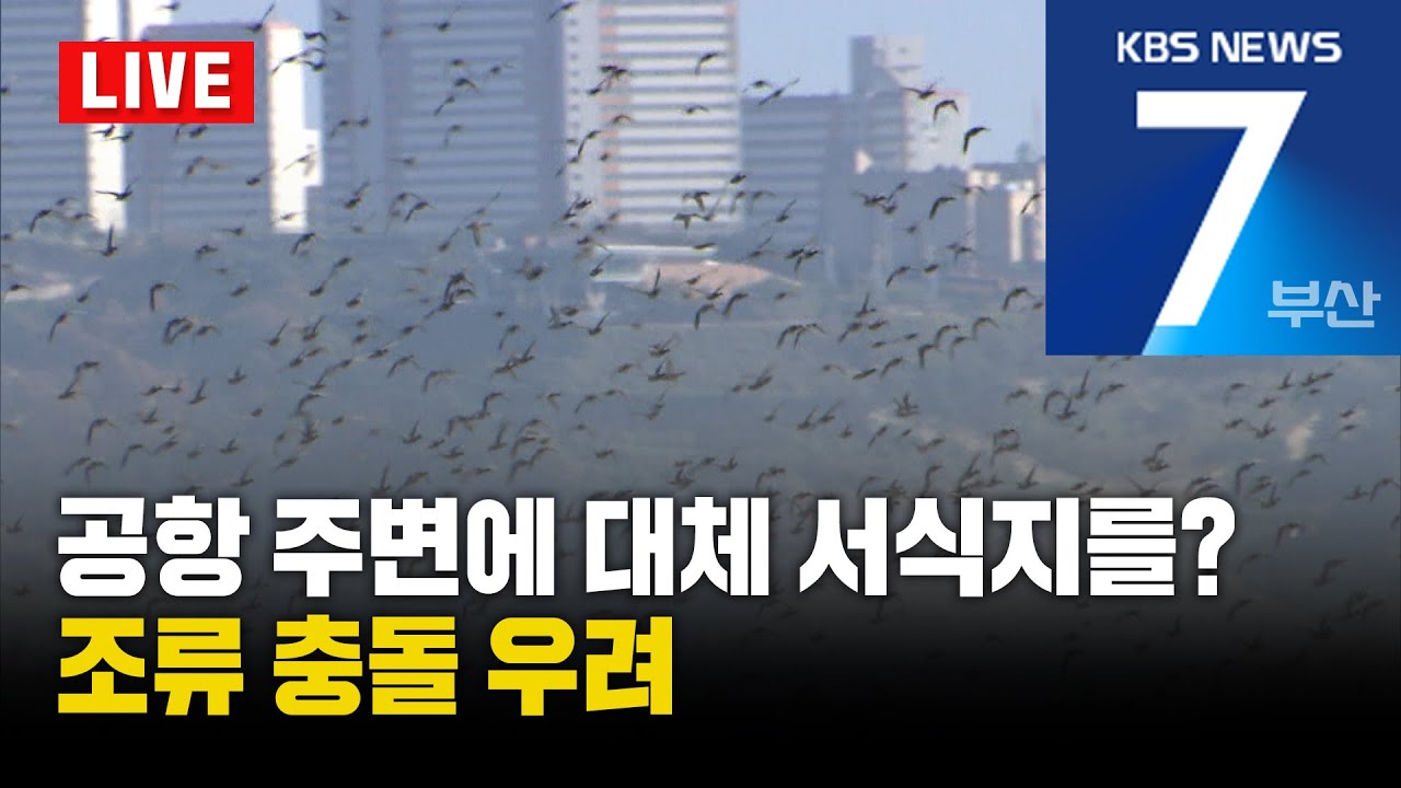 [LIVE] KBS 뉴스7 부산 - 2026.01.13(화)