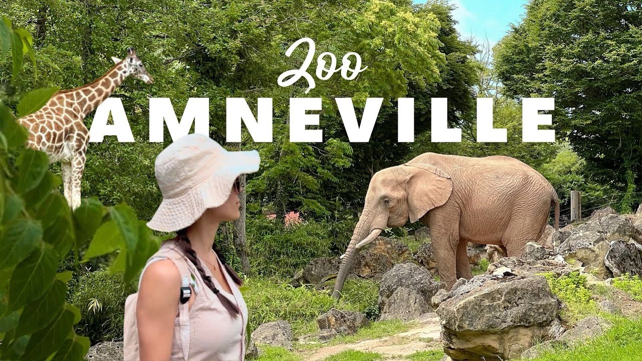 Zoo d’Amnéville - Amnéville, France - Découvre tous les animaux de ce Zoo 