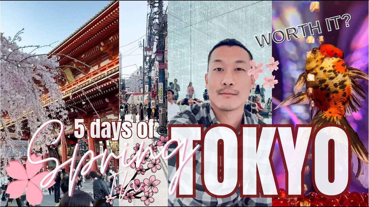 Tokyo in Spring Sakura Season Pros and Cons | 5 Days 🇯🇵 Tour - Hidden Gems Revealed! 🌸