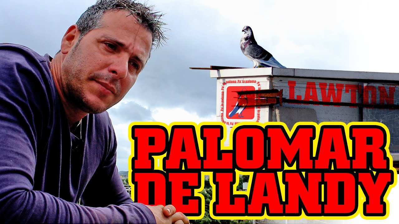 PALOMAR de CONQUISTA de LANDY en LAWTON