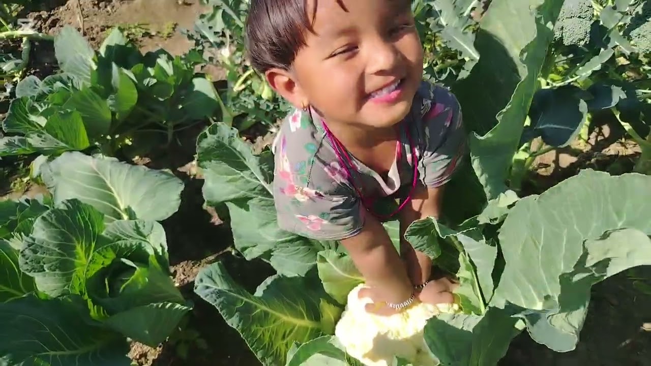 आजको काम😊