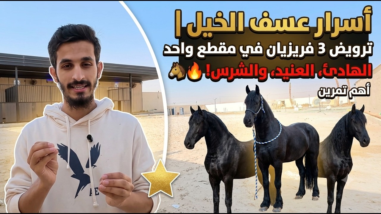 أسرار عسف الخيل | ترويض 3 فريزيان في مقطع واحد | الهادئ، العنيد، والشرس! 🐎🔥