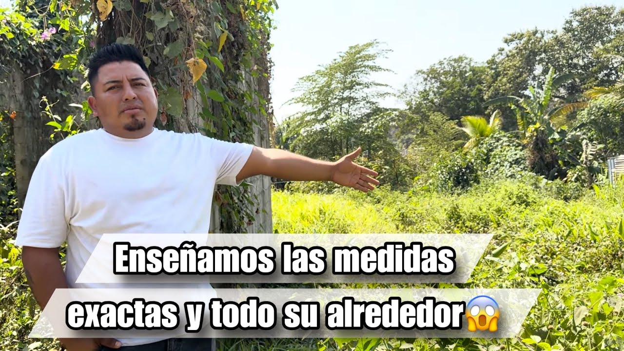 El BOTAS muestra todo está en orden y las escrituras así es vivir aqyi