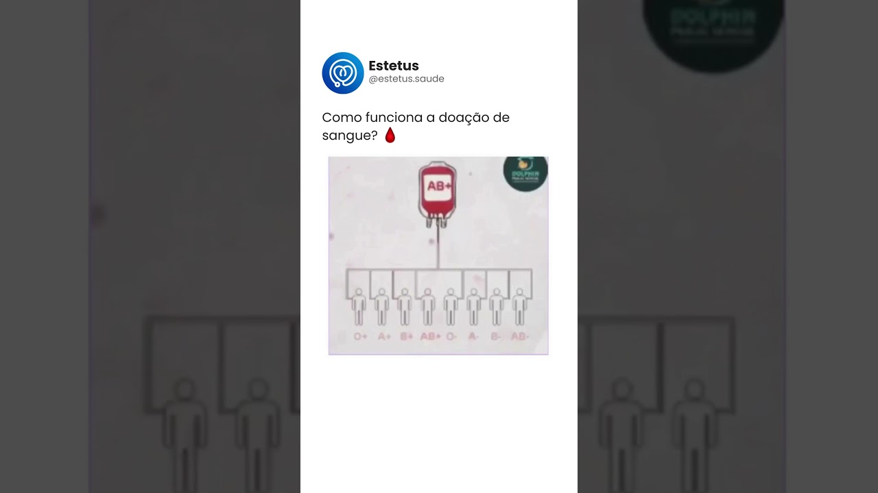 Como funciona a doa&ccedil;&atilde;o de sangue 🩸