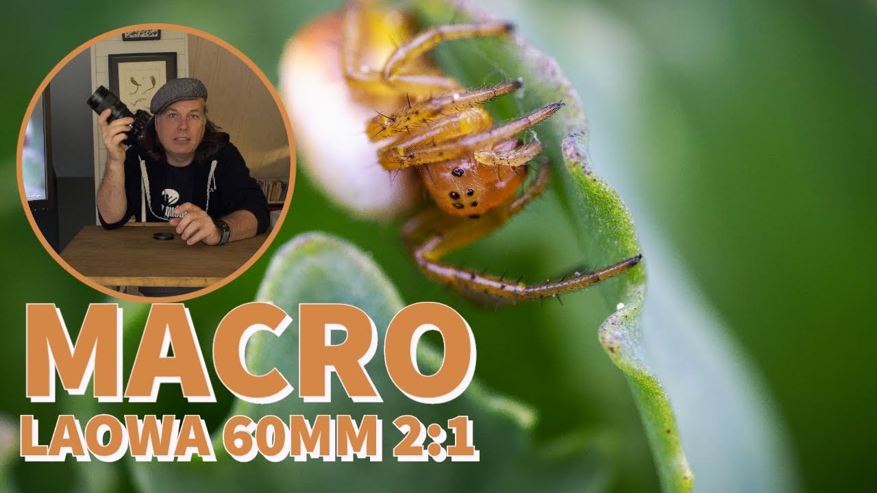 Mon objectif macro préféré