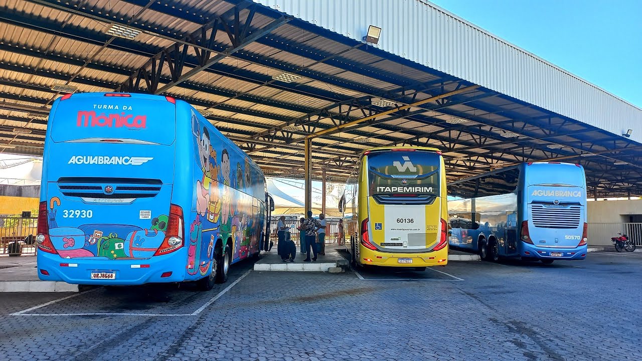 CARNAVAL 2026 - MOVIMENTAÇÃO DE ÔNIBUS NA RODOVIÁRIA DE VILA VELHA| PARTE 2