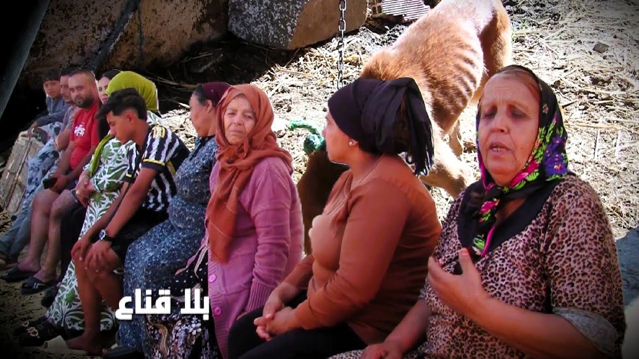 كلب يقود صاحبه الى السجن..فيديو أثار سخط وغضب رواد الانترنت وأسرار مفاجئة تكشفها عائلته عالمباشر!!