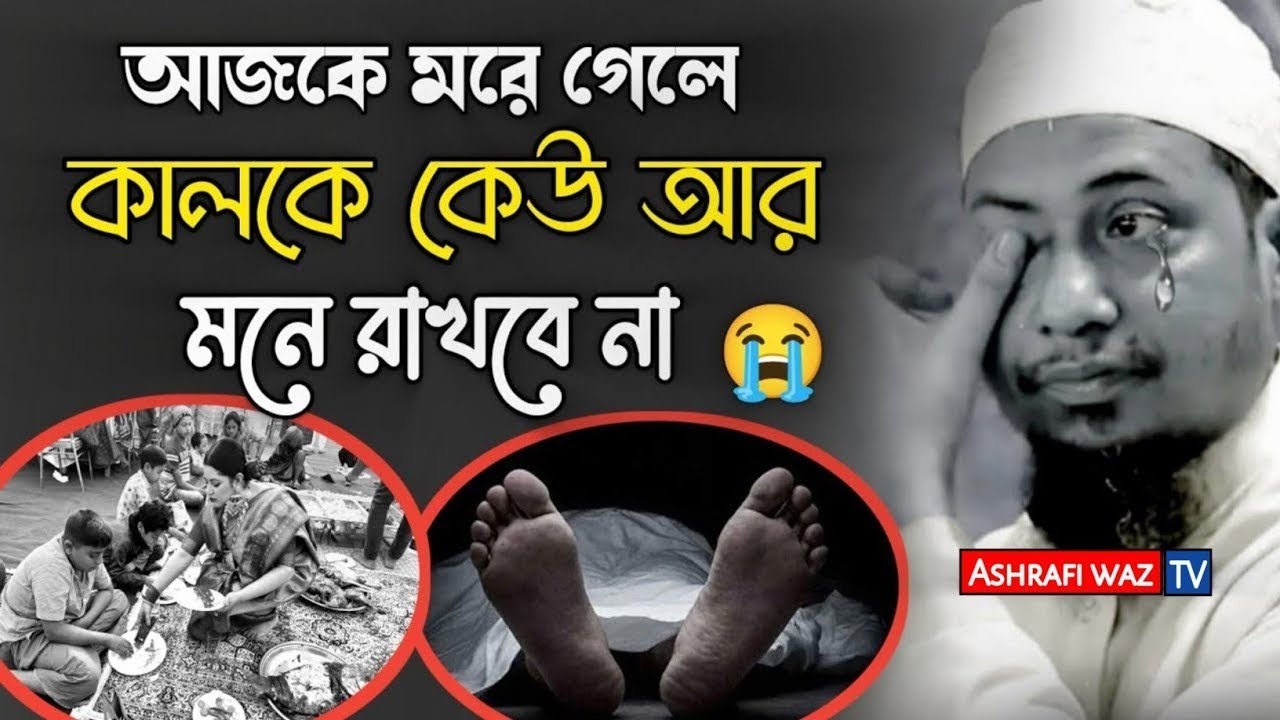 আপনি যেই দিন মারা যাবেন সেই দিনও মানুষ ভাত খাবে | শুধু আপনাকে ভুলে যাবে | আনিছুর রহমান আশরাফী  