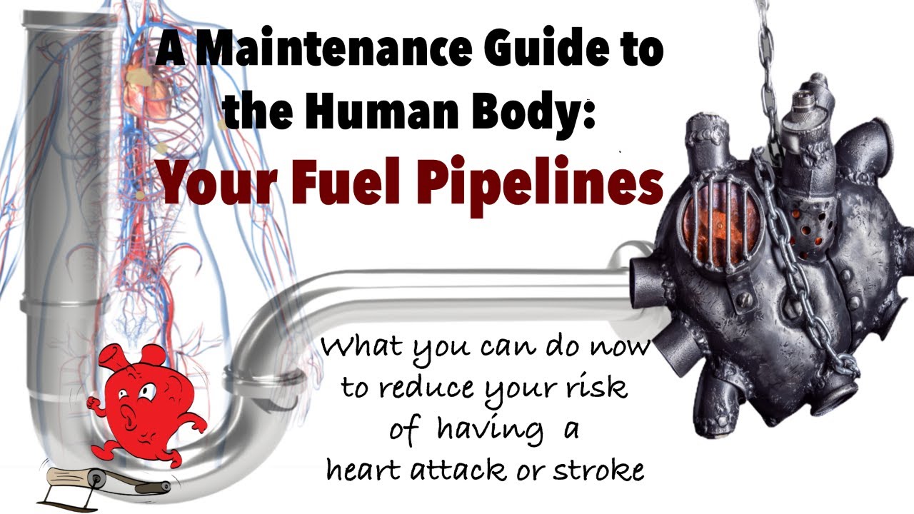 A Maintenance Guide to the Human Body:  Your Fuel Pipelines
