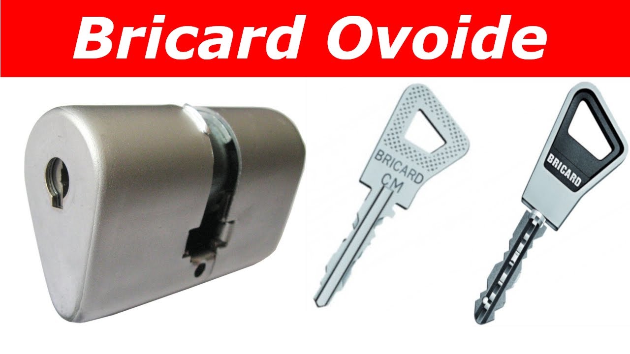 TUTO comment changer un cylindre bricard ovoide ?