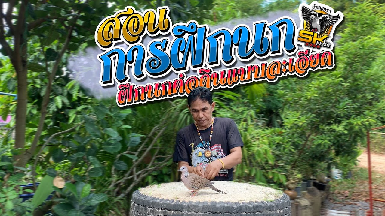 สอนฝึกนก แบบต่อดิน | อย่างละเอียด | SKฟาร์ม