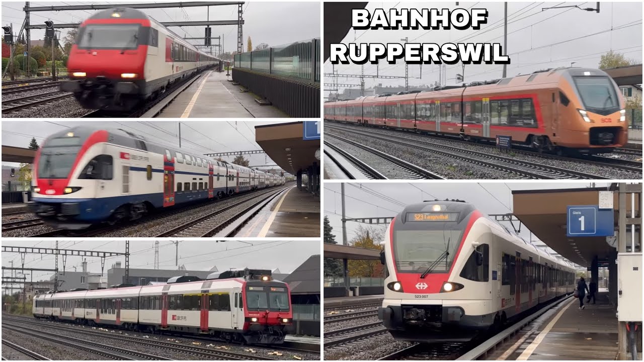 Züge beim Bahnhof Rupperswil | Trains at Rupperswil station (2023)