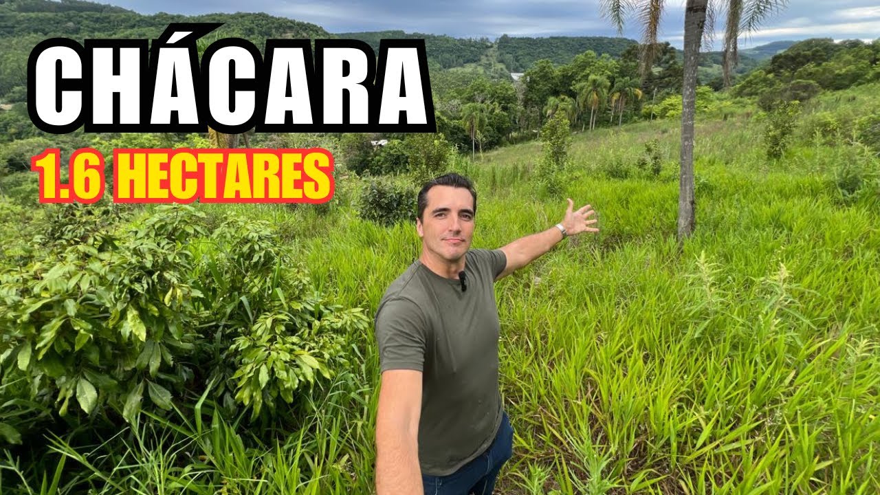 CHÁCARA ÁREA LIMPA PARA CULTIVO CRIAÇÃO CONSTRUÇÃO COM VERTENTE VISTA PARA O VALE | R$ 280.000,00