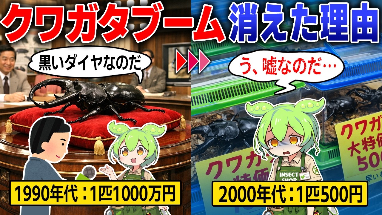 1匹1000万円の「オオクワガタ」ブームは一体なぜ消えたのか…？【ずんだもん＆ゆっくり解説】