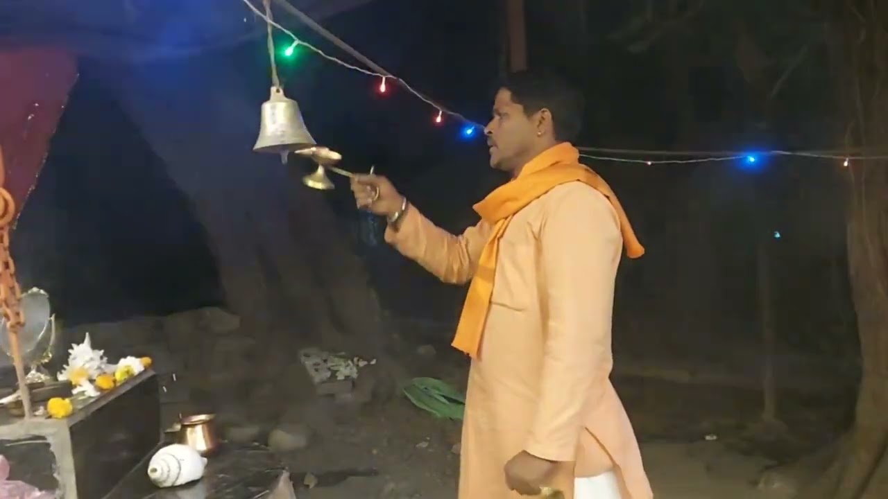चित्तौड़ में अद्भुत नज़ारा 🙏 आरती के समय जानवरों ने भी ली आरती | सच्ची भक्ति का प्रमाण