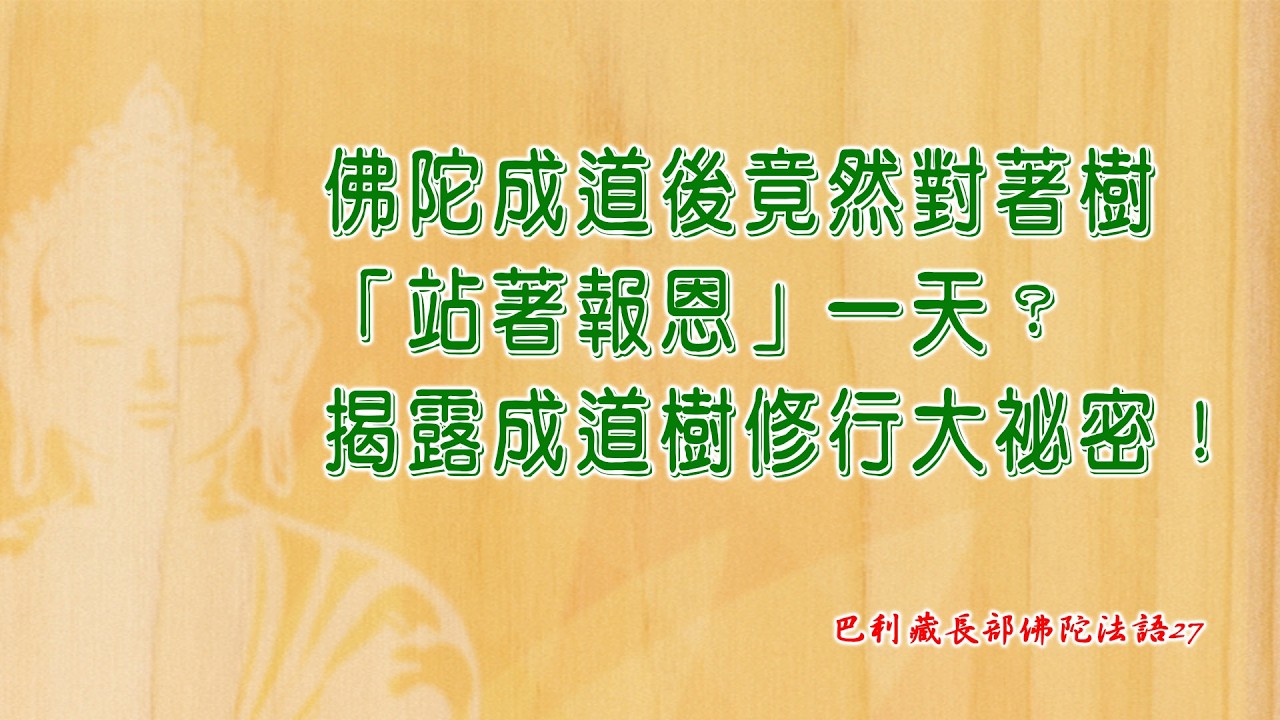 巴利藏長部佛陀法語27  很多佛都在榕樹下開悟證果?! 原來找越大棵的榕樹打坐越好！