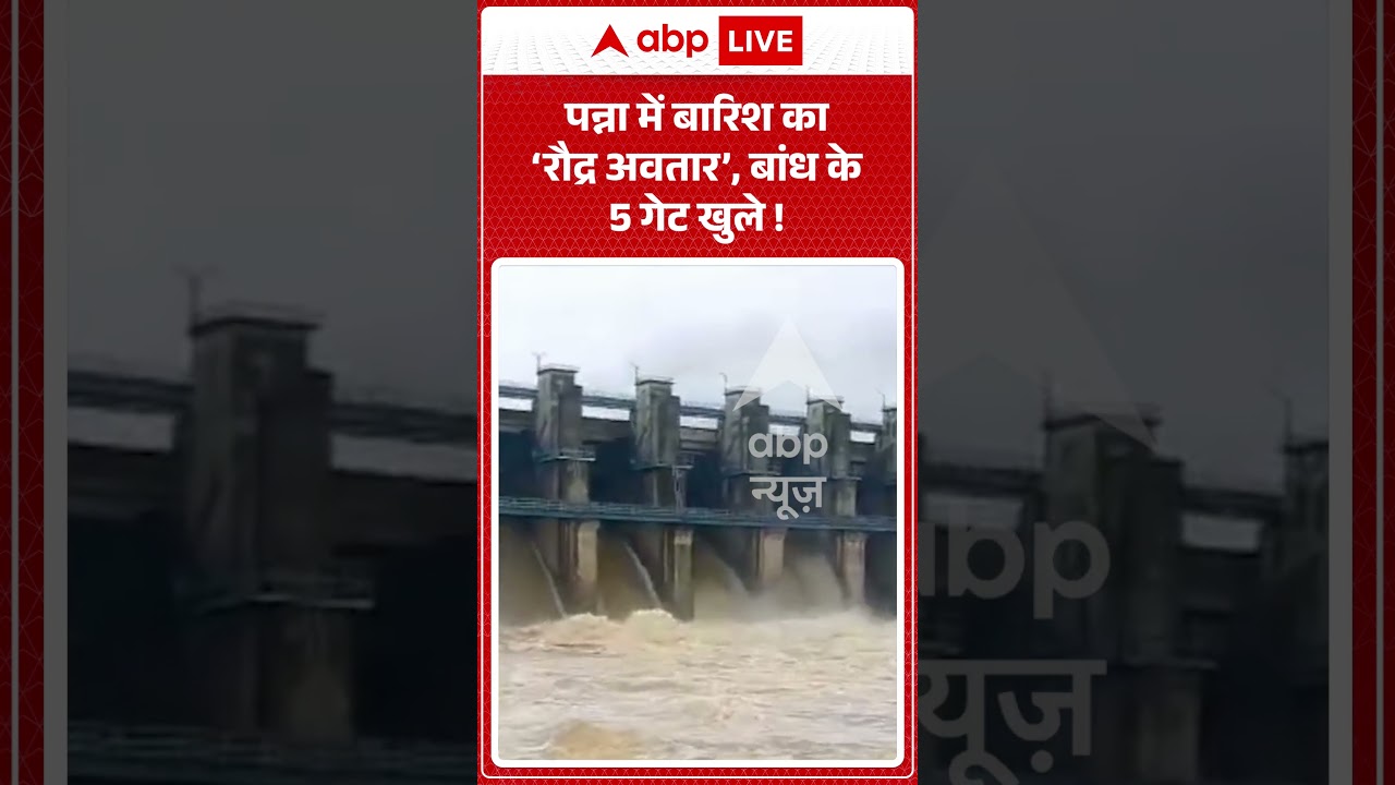 Viral Video : पन्ना में बारिश का &lsquo;रौद्र अवतार&rsquo;, बांध के 5 गेट खुले ! |  #MPRain #HeavyRainfall