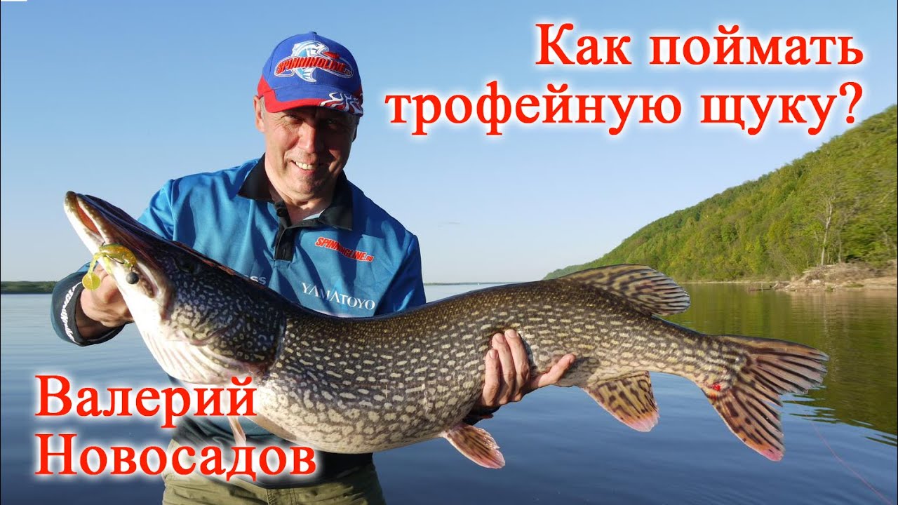 Щучья охота: секреты Валерия Новосадова