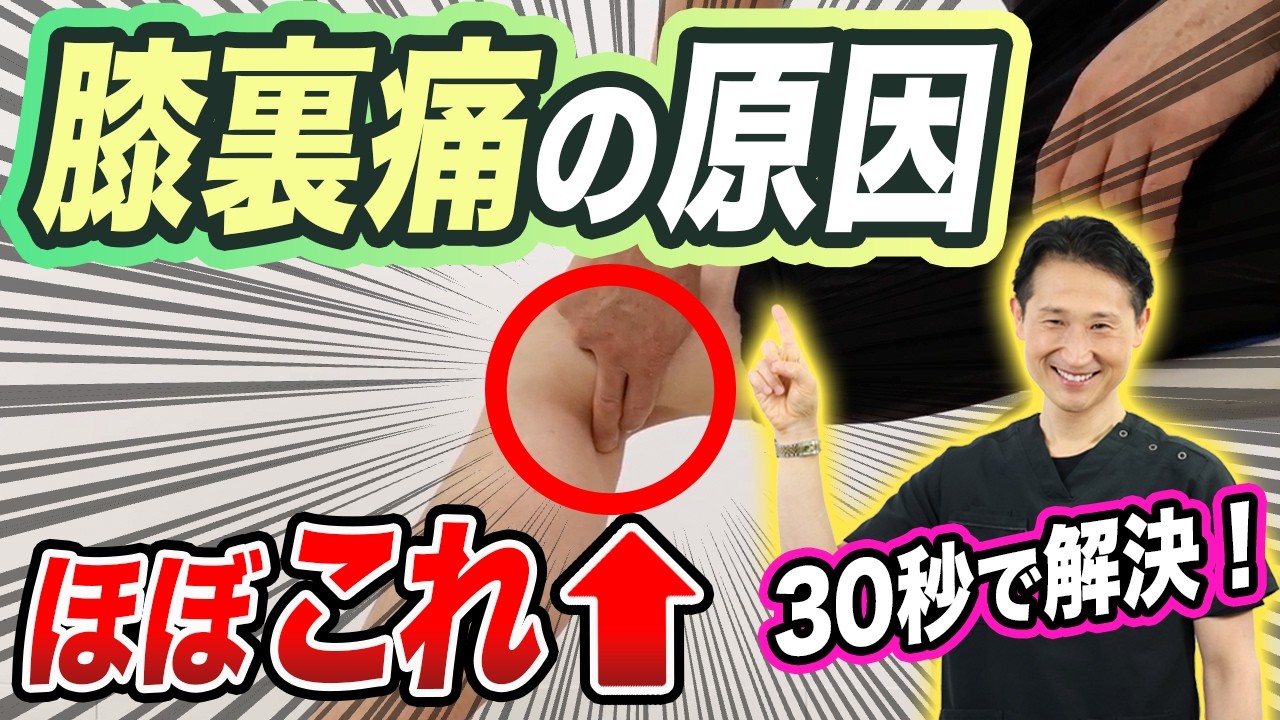 【運動厳禁】膝うらの痛みはこれが原因！！【膝裏の痛み・つまり感改善セルフケア】