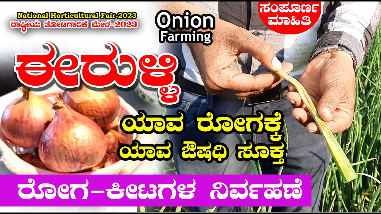 ಈರುಳ್ಳಿ ಬೆಳೆ ರೋಗಗಳಿಗೆ ಪರಿಹಾರ | ಉಳ್ಳಾಗಡ್ಡಿ | Onion Diseases | National Horticultural Fair 2023