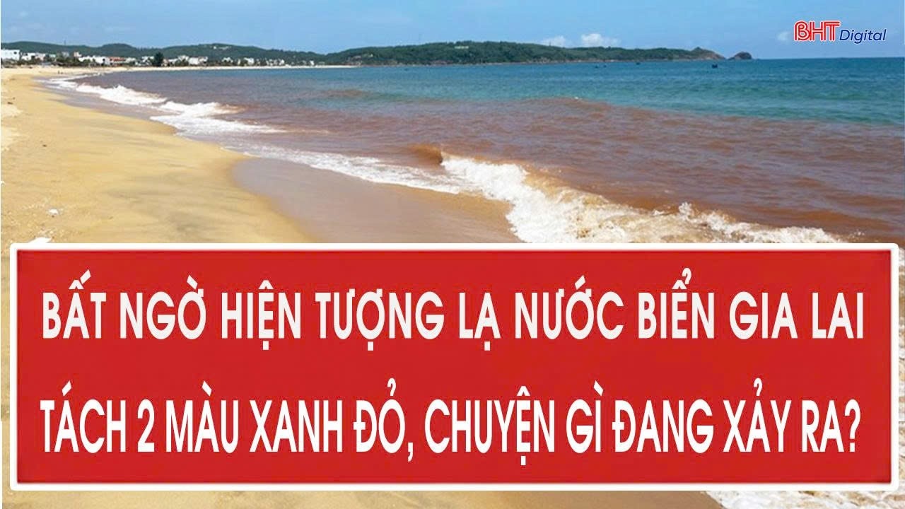 Bất ngờ hiện tượng lạ nước biển Gia Lai tách 2 màu xanh đỏ, chuyện gì đang xảy ra?