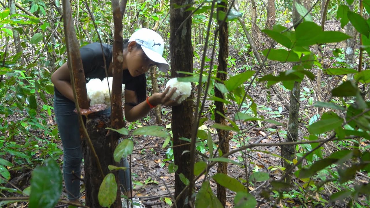 Girl Living Off Grid Building a Rainproof Underground Shelter, Harvesting Wild Food, Cook and Eat