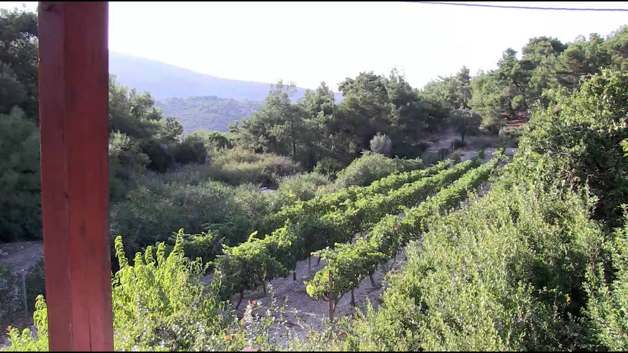 Urla Bagevi Boutique Hotel Introductory Film