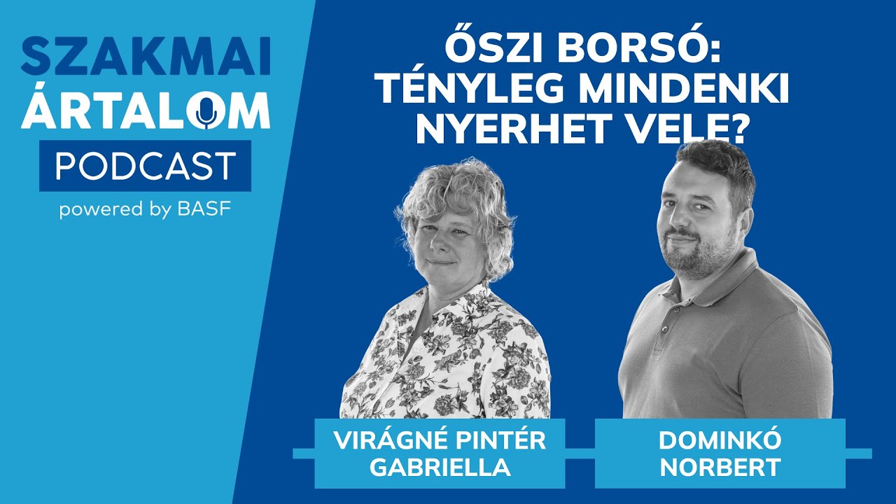 Őszi borsó: Tényleg mindenki nyerhet vele? - Szakmai Ártalom Podcast