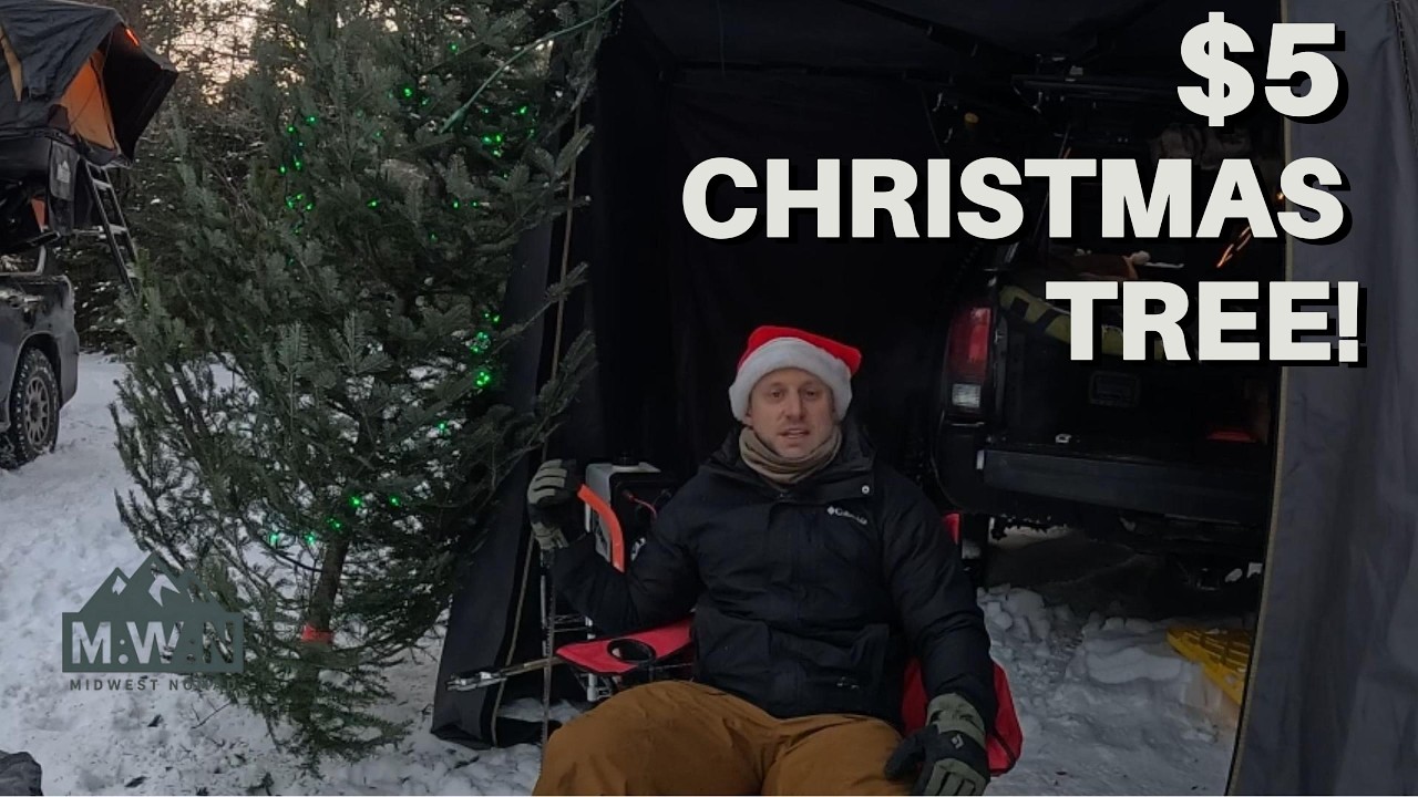 I Cut My Own Christmas Tree for $5- Chequamegon-Nicolet National Forest