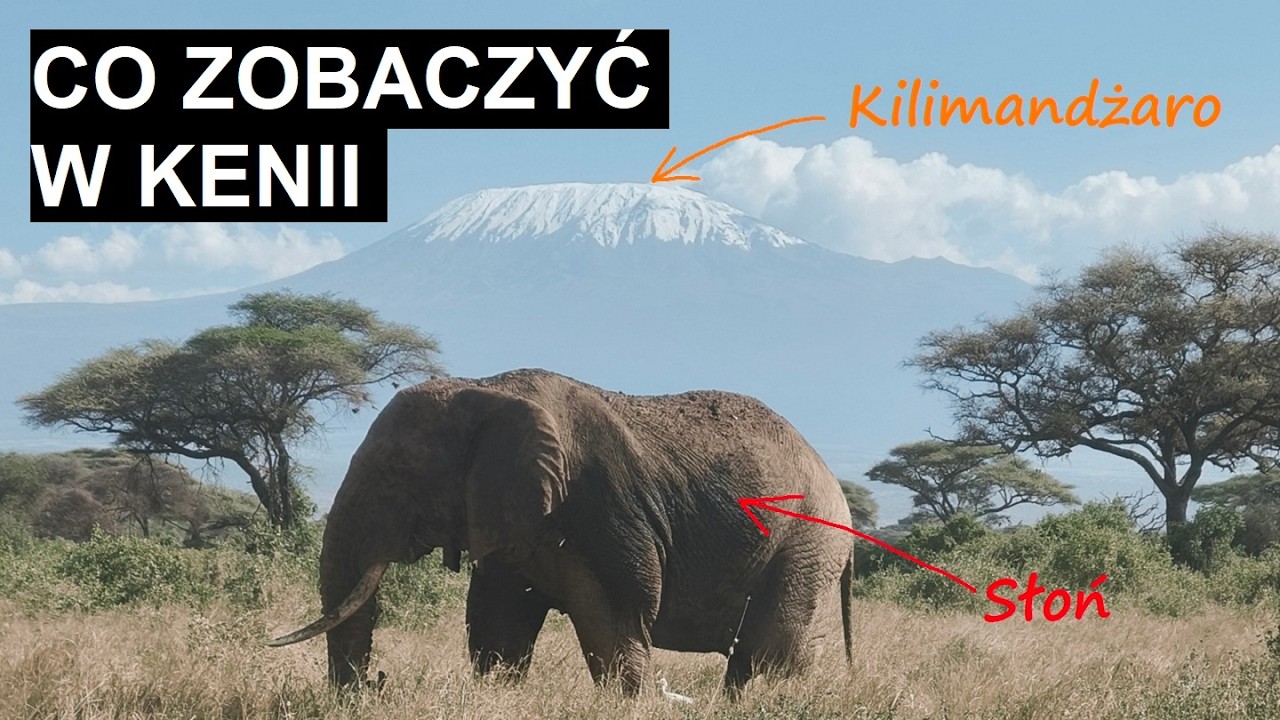 Co zobaczyć  Kenii