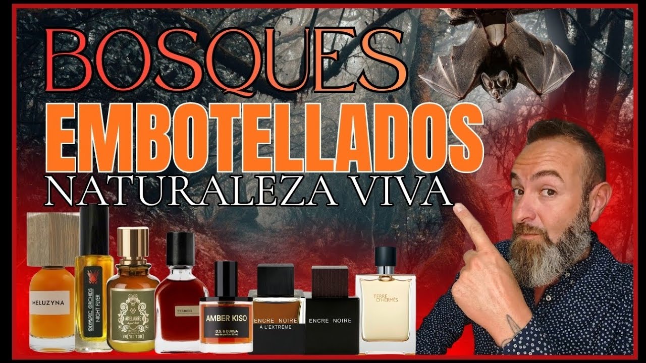 🌳🪵PERFUMES CON OLOR A BOSQUE🪵🌲 LOS AROMAS DE LA NATURALEZA🌊🔥🌀🪨