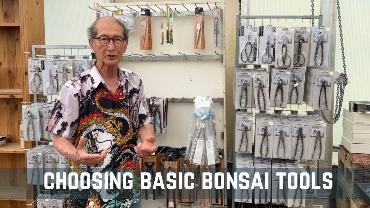 Choosing Basic Bonsai Tools