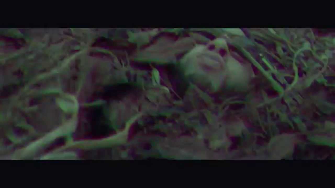Zekw&eacute; - Zombies (Clip Officiel)