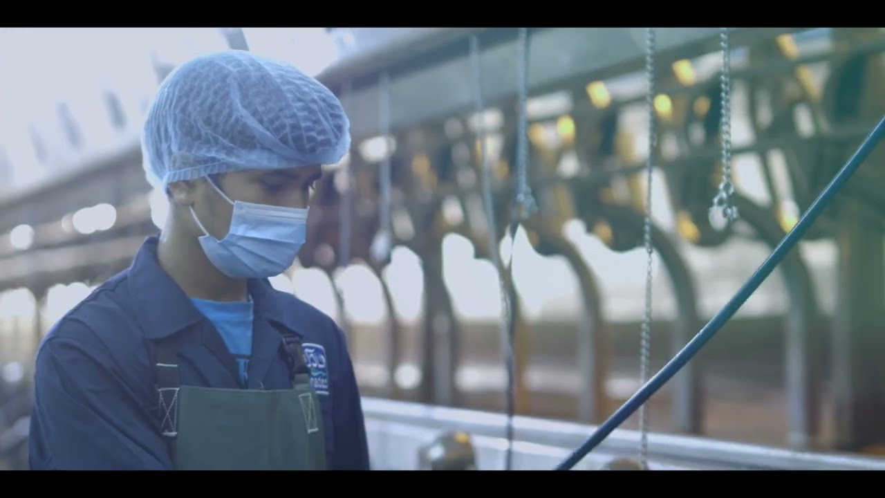 National Agricultural Development Company Saudi arab NADEC (Corporate video)