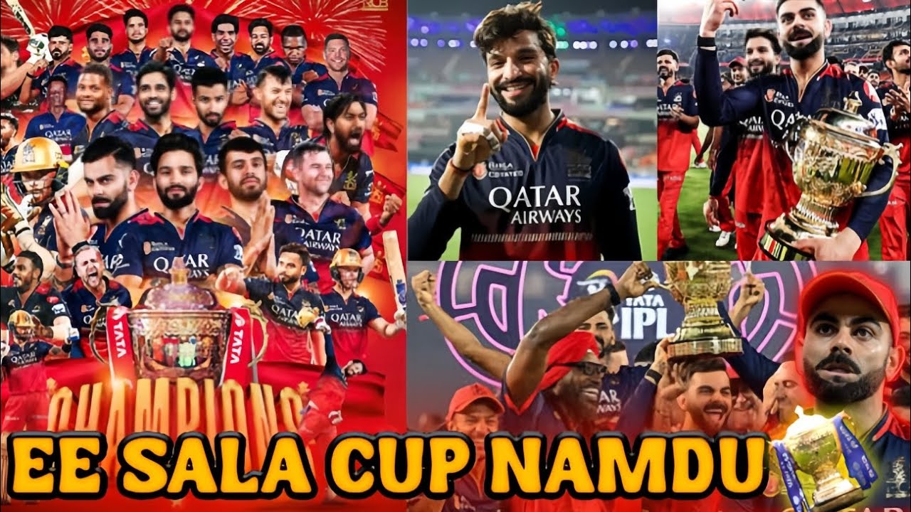 RCB vs PBKS Final 2025 Highlights || hajlewood का आया तांडव || RCB vs pbks final 2025