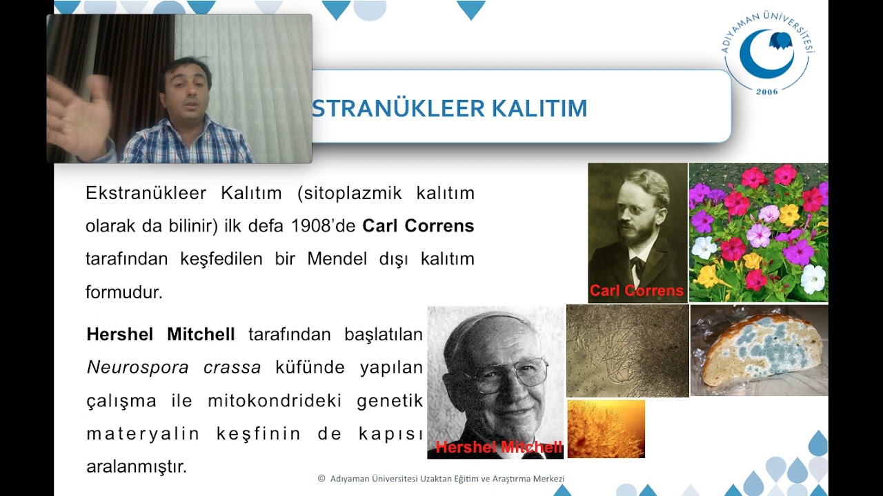 Mendel Dışı Kalıtım