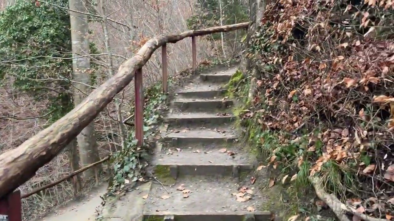 Meersburger Mini-Wasserfall Abonnenten, Special Video ￼