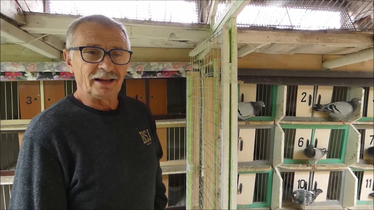 Janusz Kałamaja wymuszona redukcja hodowli