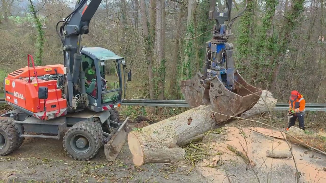 Atlas Radbagger bei Rodung im Einsatz