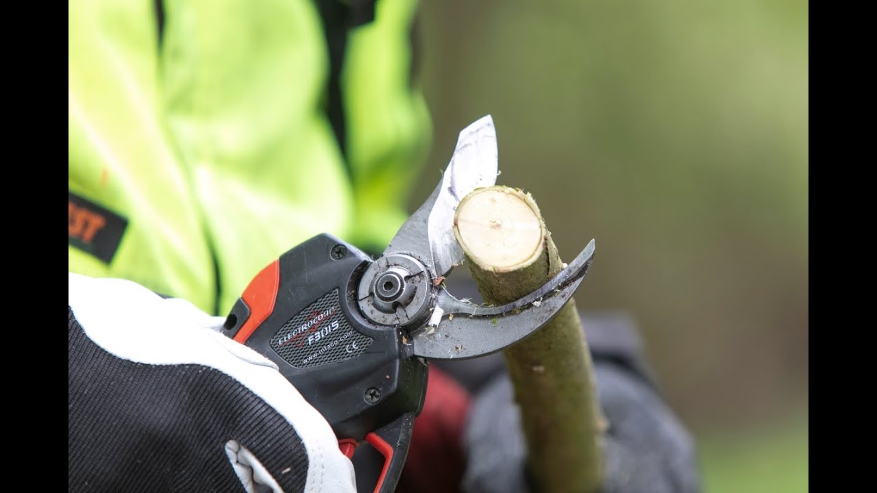 Einsatz von Akkuscheren zu Wertästung