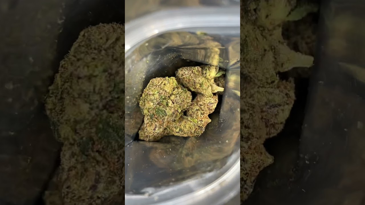 Jelly Donut 🍩 Late ⏰ Night &bull;Strain Review 😶&zwj;🌫️🧁🍩🔥