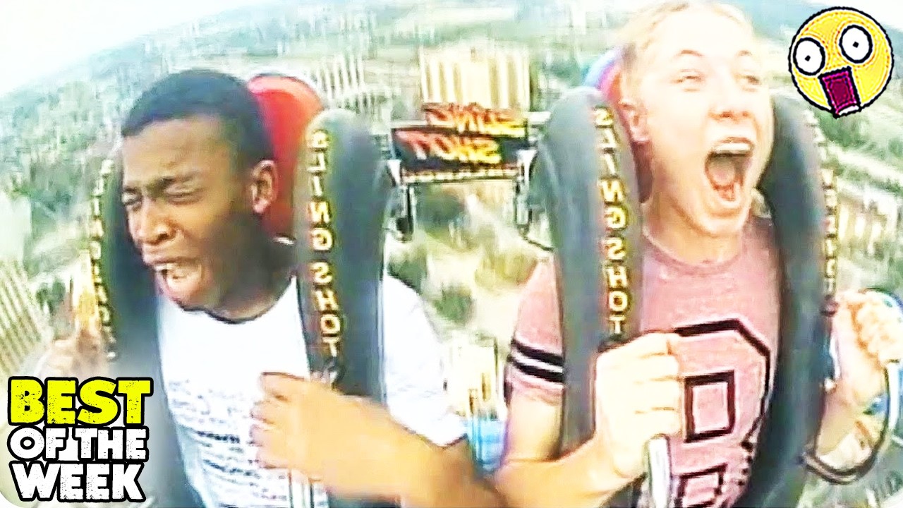 Try Not to Laugh Challenge #05 |🤣 Best Fails of the week